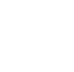 Repuestos Pro